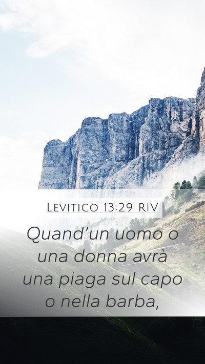 Levitico 13:29 RIV Bible Verse Image