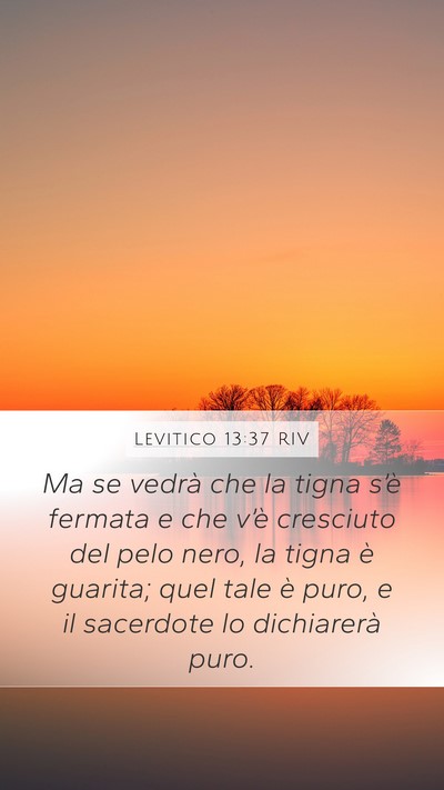 Levitico 13:37 RIV Mobile Phone Wallpaper - Ma se vedrà che la tigna s’è fermata e che - Mobile Bible Verse Wallpaper