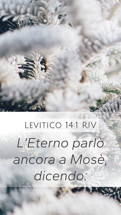 Levitico 14:1 RIV Bible Verse Image