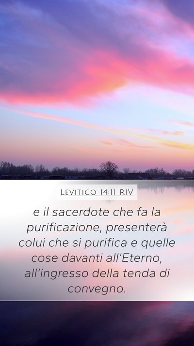 Levitico 14:11 RIV Mobile Phone Wallpaper - e il sacerdote che fa la purificazione, - Mobile Bible Verse Wallpaper
