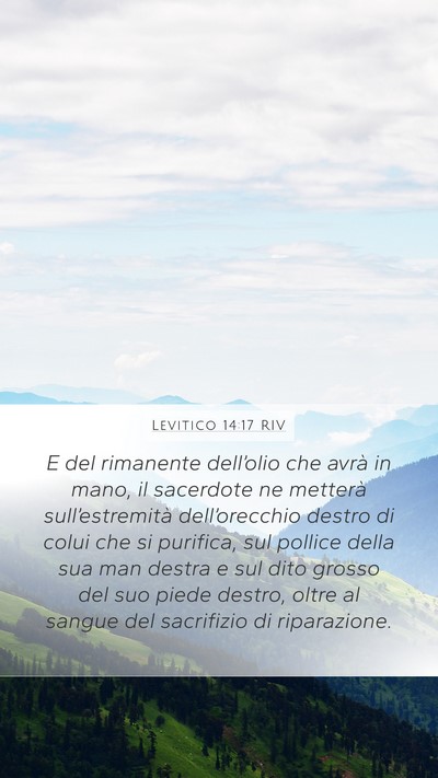 Levitico 14:17 RIV Bible Verse Image