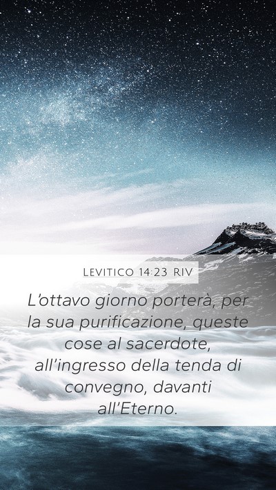 Levitico 14:23 RIV Bible Verse Image