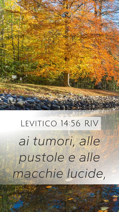 Levitico 14:56 RIV Bible Verse Image