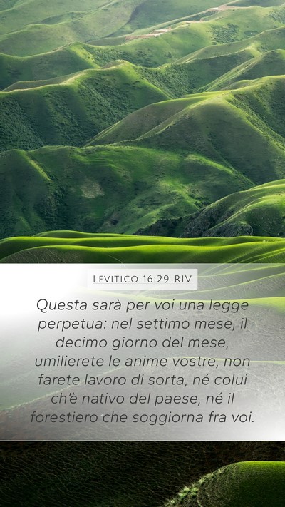 Levitico 16:29 RIV Bible Verse Image