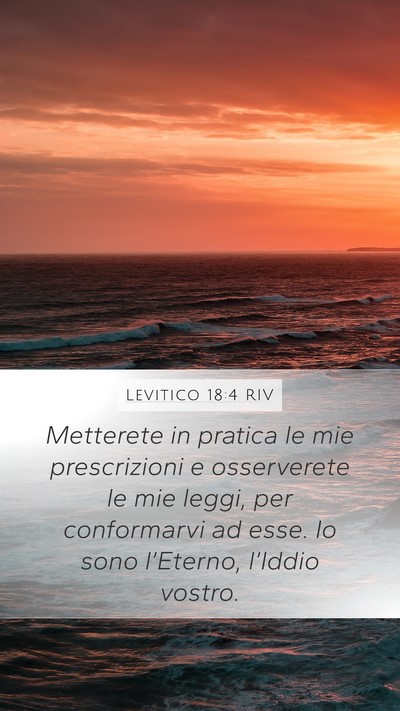 Levitico 18:4 RIV Bible Verse Image