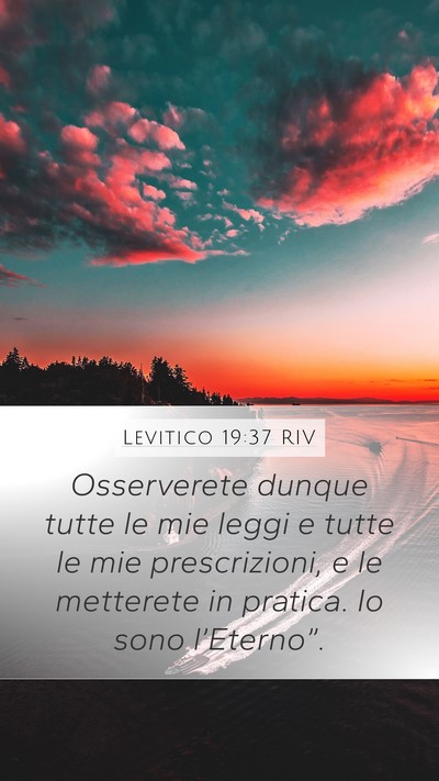 Levitico 19:37 RIV Bible Verse Image
