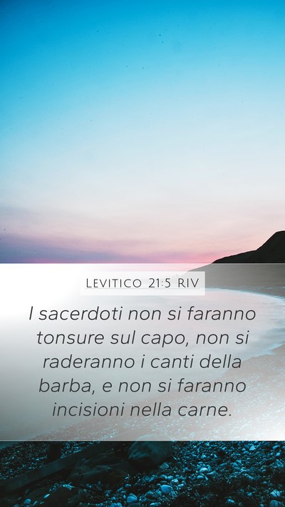 Levitico 21:5 RIV Bible Verse Image