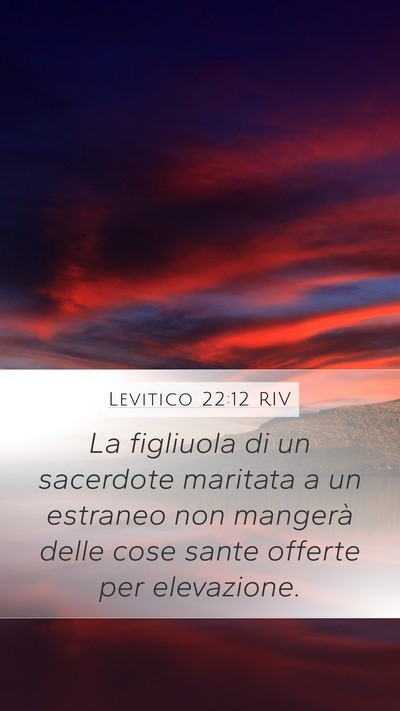 Levitico 22:12 RIV Bible Verse Image