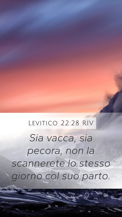 Levitico 22:28 RIV Bible Verse Image