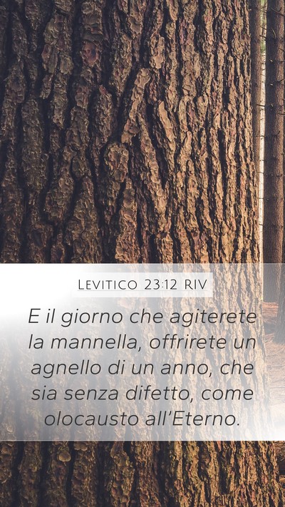 Levitico 23:12 RIV Bible Verse Image