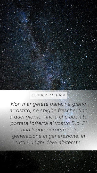 Levitico 23:14 RIV Bible Verse Image
