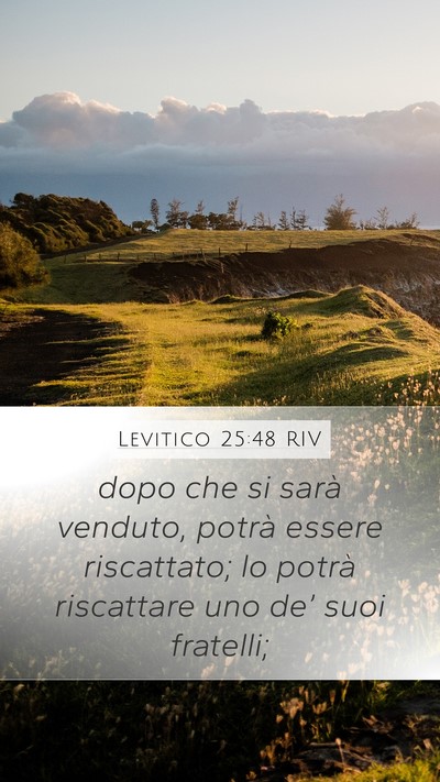 Levitico 25:48 RIV Mobile Phone Wallpaper - dopo che si sarà venduto, potrà essere - Mobile Bible Verse Wallpaper