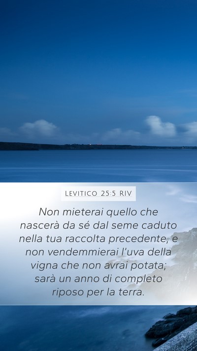 Levitico 25:5 RIV Mobile Phone Wallpaper - Non mieterai quello che nascerà da sé dal seme - Mobile Bible Verse Wallpaper