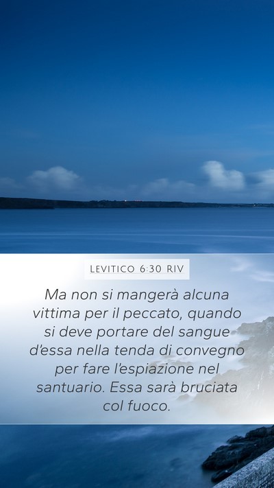 Levitico 6:30 RIV Bible Verse Image