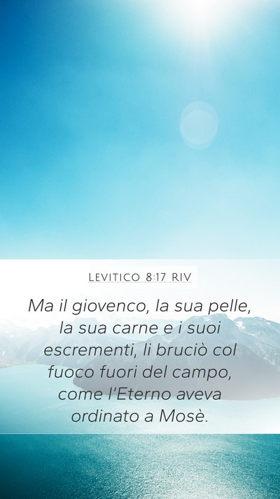 Levitico 8:17 RIV Bible Verse Image