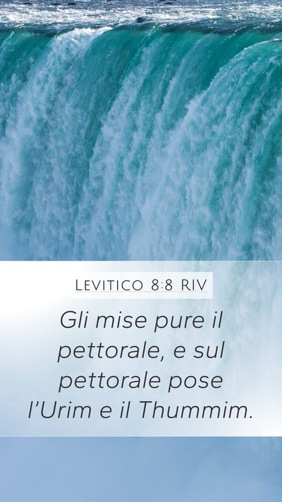Levitico 8:8 RIV Bible Verse Image