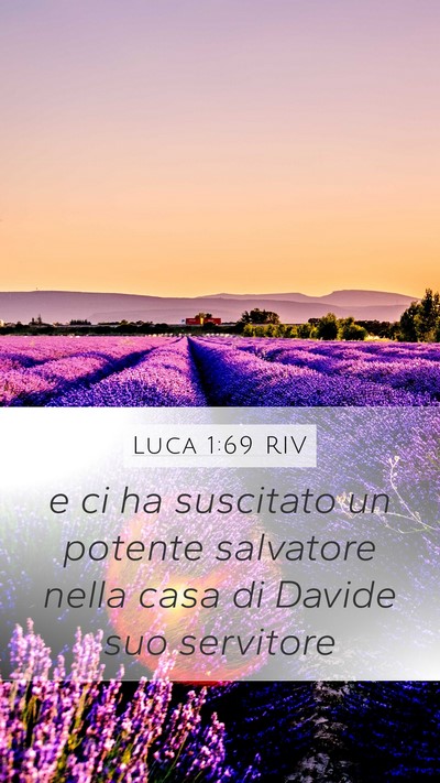 Luca 1:69 RIV Bible Verse Image