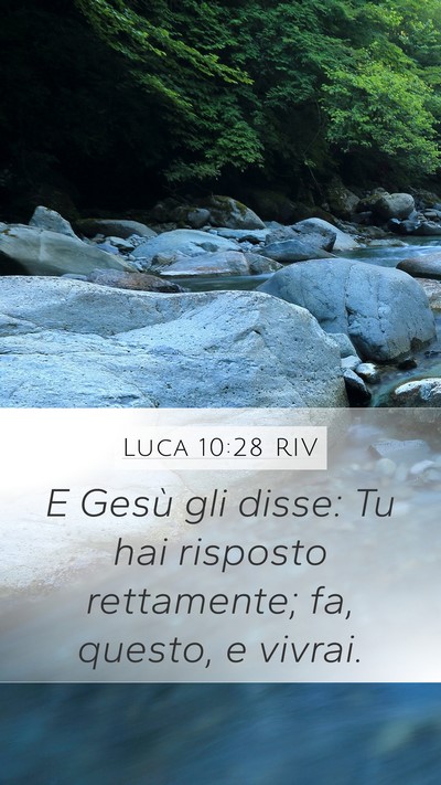Luca 10:28 RIV Mobile Phone Wallpaper - E Gesù gli disse: Tu hai risposto rettamente; - Mobile Bible Verse Wallpaper