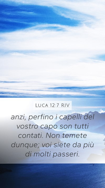 Luca 12:7 RIV Bible Verse Image