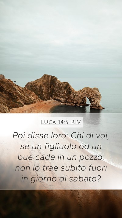 Luca 14:5 RIV Bible Verse Image