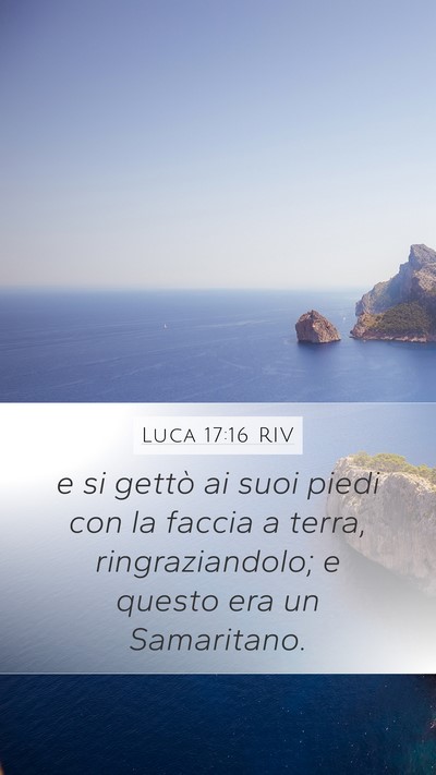 Luca 17:16 RIV Mobile Phone Wallpaper - e si gettò ai suoi piedi con la faccia a terra, - Mobile Bible Verse Wallpaper