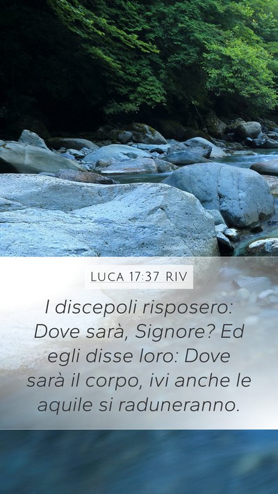 Luca 17:37 RIV Bible Verse Image