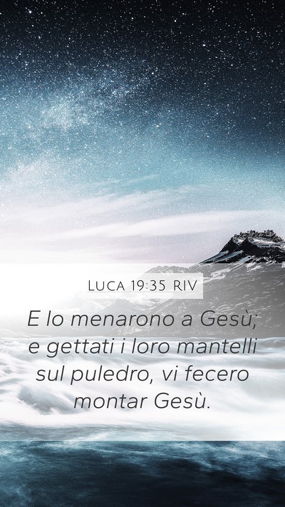 Luca 19:35 RIV Bible Verse Image