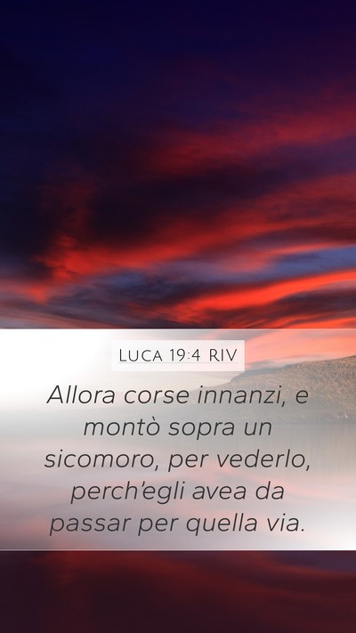 Luca 19:4 RIV Bible Verse Image