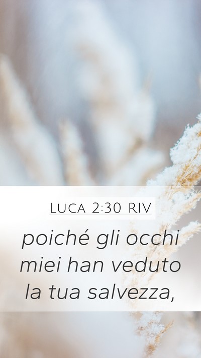 Luca 2:30 RIV Bible Verse Image