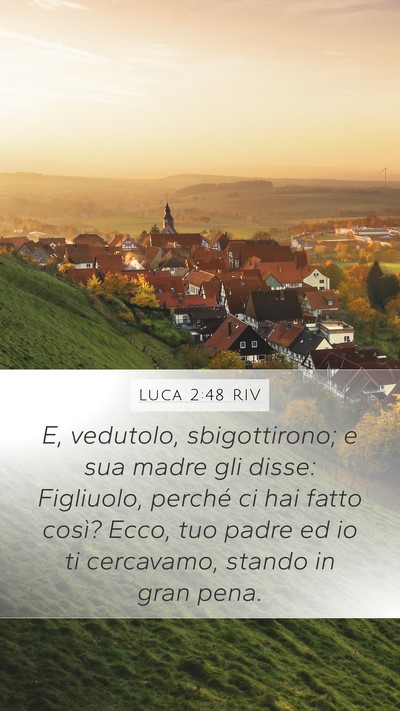 Luca 2:48 RIV Bible Verse Image