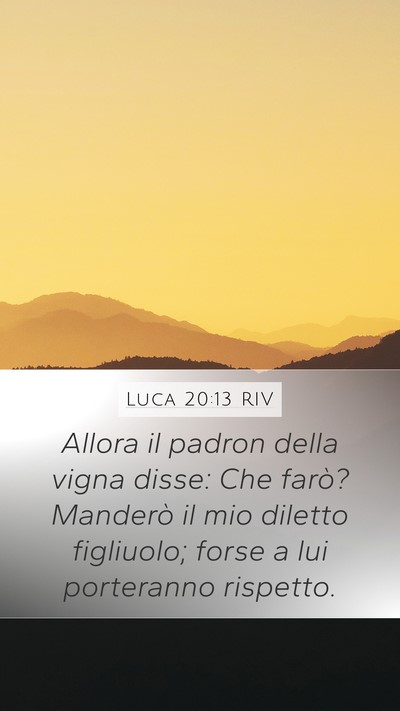 Luca 20:13 RIV Bible Verse Image