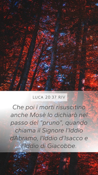 Luca 20:37 RIV Mobile Phone Wallpaper - Che poi i morti risuscitino anche Mosè lo - Mobile Bible Verse Wallpaper