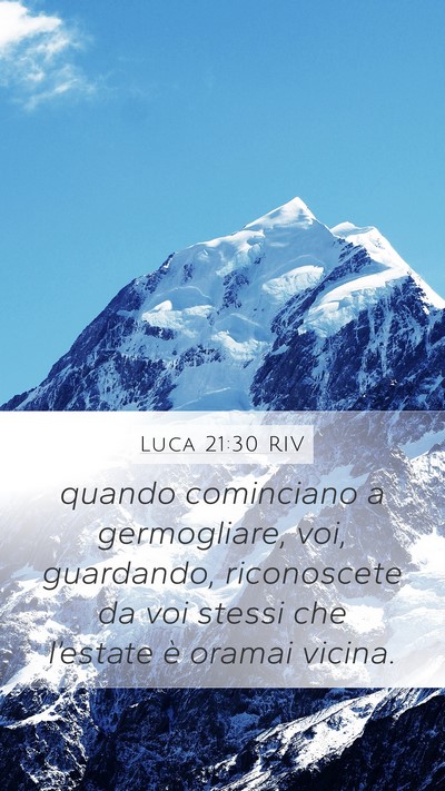 Luca 21:30 RIV Mobile Phone Wallpaper - quando cominciano a germogliare, voi, guardando, - Mobile Bible Verse Wallpaper