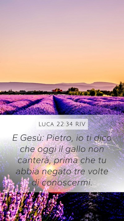 Luca 22:34 RIV Bible Verse Image