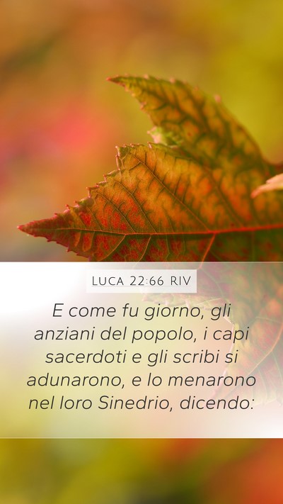 Luca 22:66 RIV Bible Verse Image