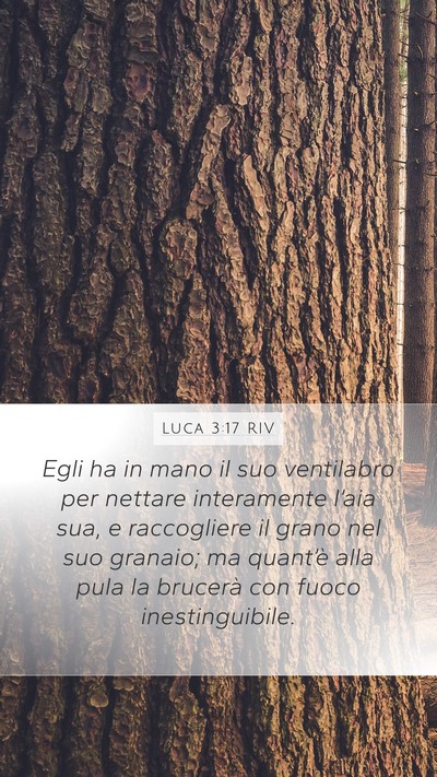 Luca 3:17 RIV Mobile Phone Wallpaper - Egli ha in mano il suo ventilabro per nettare - Mobile Bible Verse Wallpaper