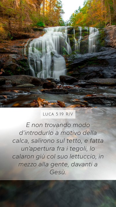 Luca 5:19 RIV Bible Verse Image