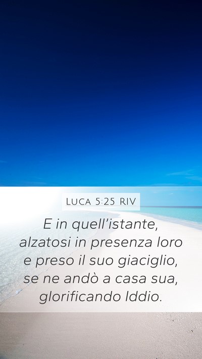 Luca 5:25 RIV Bible Verse Image