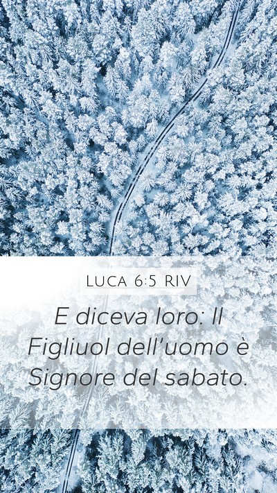 Luca 6:5 RIV Mobile Phone Wallpaper - E diceva loro: Il Figliuol dell’uomo è Signore - Mobile Bible Verse Wallpaper