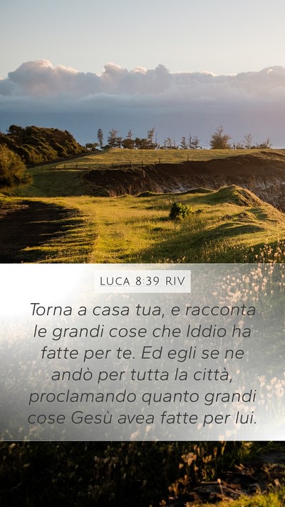 Luca 8:39 RIV Bible Verse Image