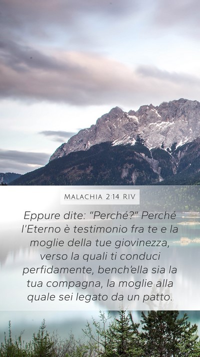 Malachia 2:14 RIV Bible Verse Image