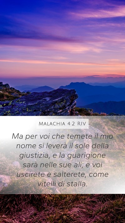 Malachia 4:2 RIV Bible Verse Image