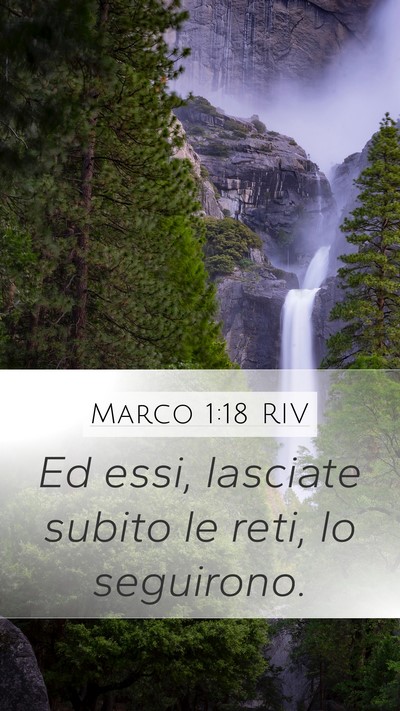 Marco 1:18 RIV Mobile Phone Wallpaper - Ed essi, lasciate subito le reti, lo - Mobile Bible Verse Wallpaper