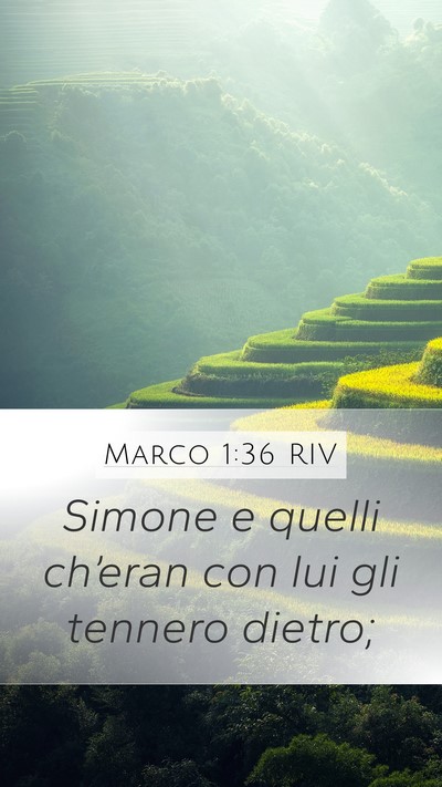 Marco 1:36 RIV Mobile Phone Wallpaper - Simone e quelli ch’eran con lui gli tennero - Mobile Bible Verse Wallpaper