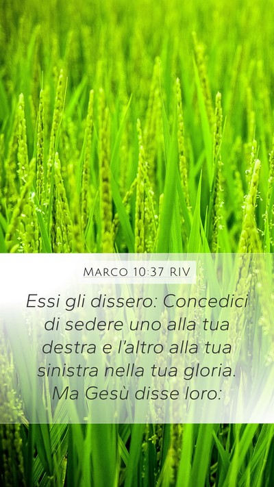 Marco 10:37 RIV Mobile Phone Wallpaper - Essi gli dissero: Concedici di sedere uno alla - Mobile Bible Verse Wallpaper