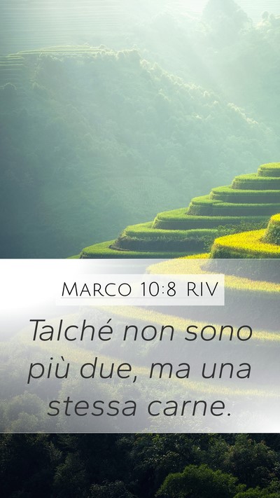 Marco 10:8 RIV Mobile Phone Wallpaper - Talché non sono più due, ma una stessa - Mobile Bible Verse Wallpaper