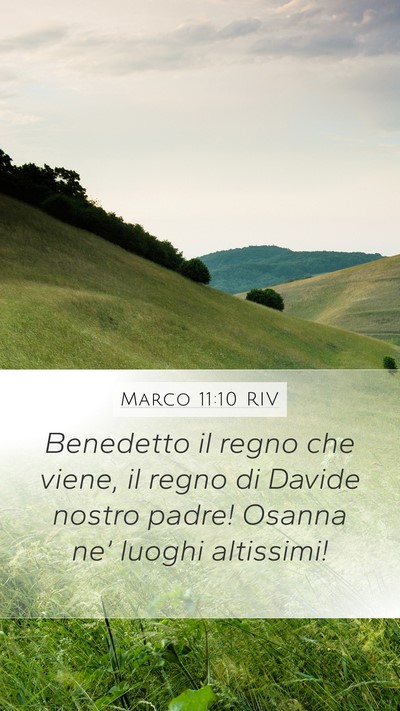 Marco 11:10 RIV Bible Verse Image