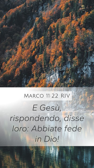 Marco 11:22 RIV Bible Verse Image