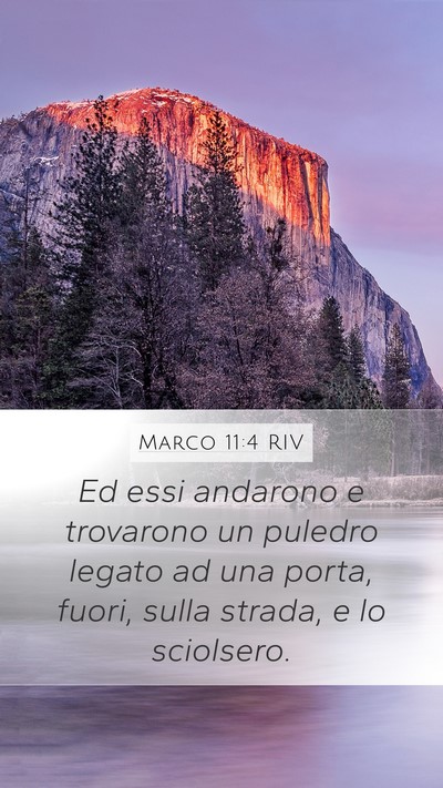 Marco 11:4 RIV Mobile Phone Wallpaper - Ed essi andarono e trovarono un puledro legato ad - Mobile Bible Verse Wallpaper