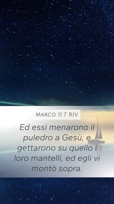 Marco 11:7 RIV Mobile Phone Wallpaper - Ed essi menarono il puledro a Gesù, e gettarono - Mobile Bible Verse Wallpaper